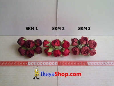 SKM 1 3  large2